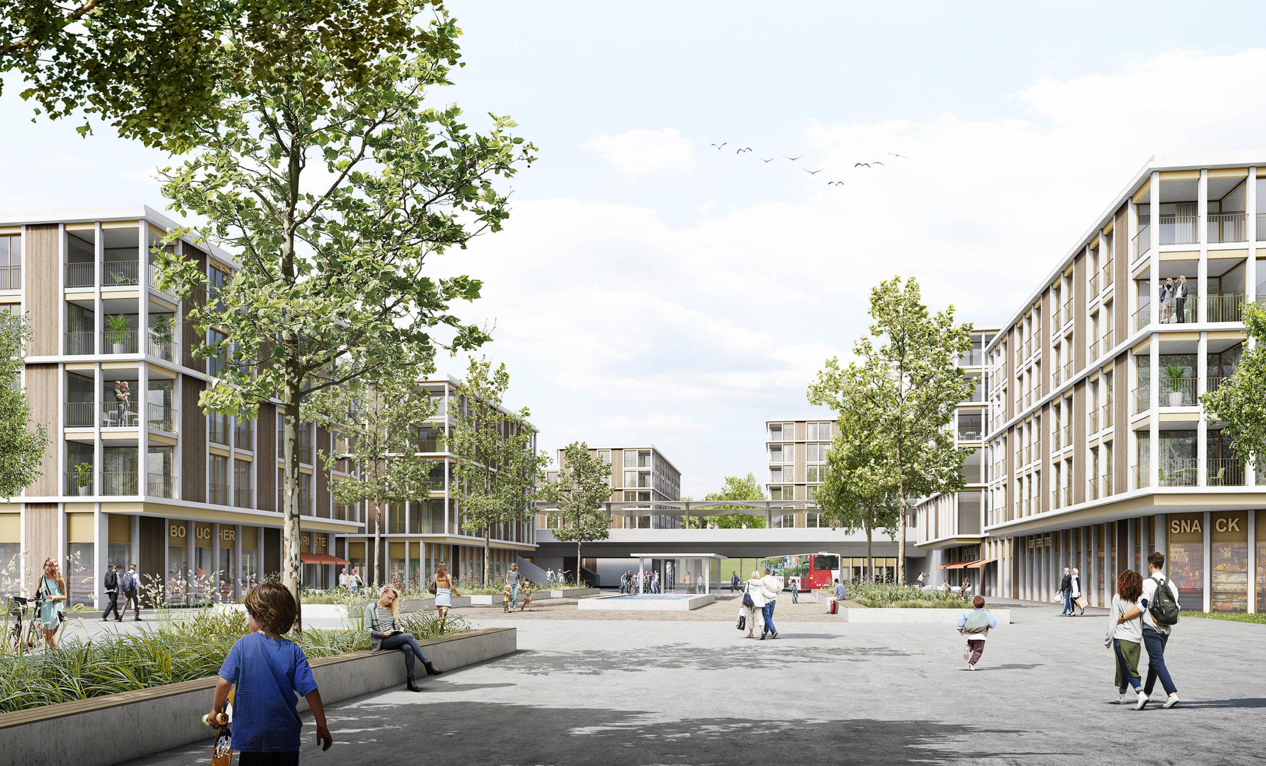 TPF’s urban project image