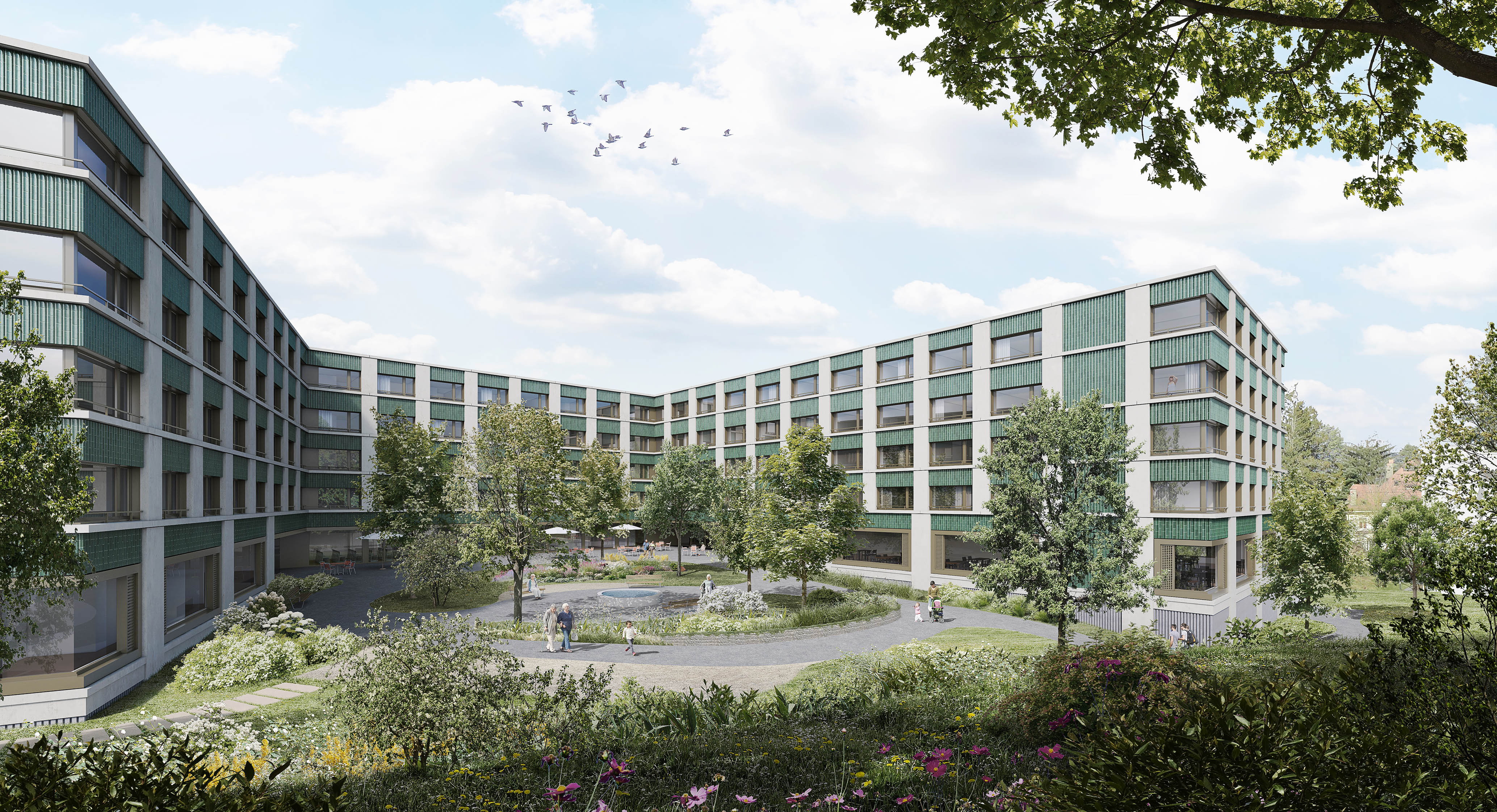 vsg_210312_image ext 1 HD